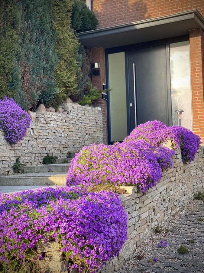 Fewo Seeblick - Familien - Hunde - Strandnah - Ostseeblick - Sauna & Wellness Sierksdorf Εξωτερικό φωτογραφία